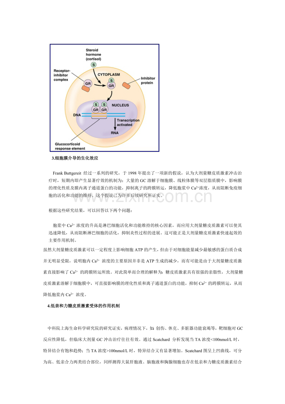 风湿免疫性疾病临床用药规范之二.doc_第3页