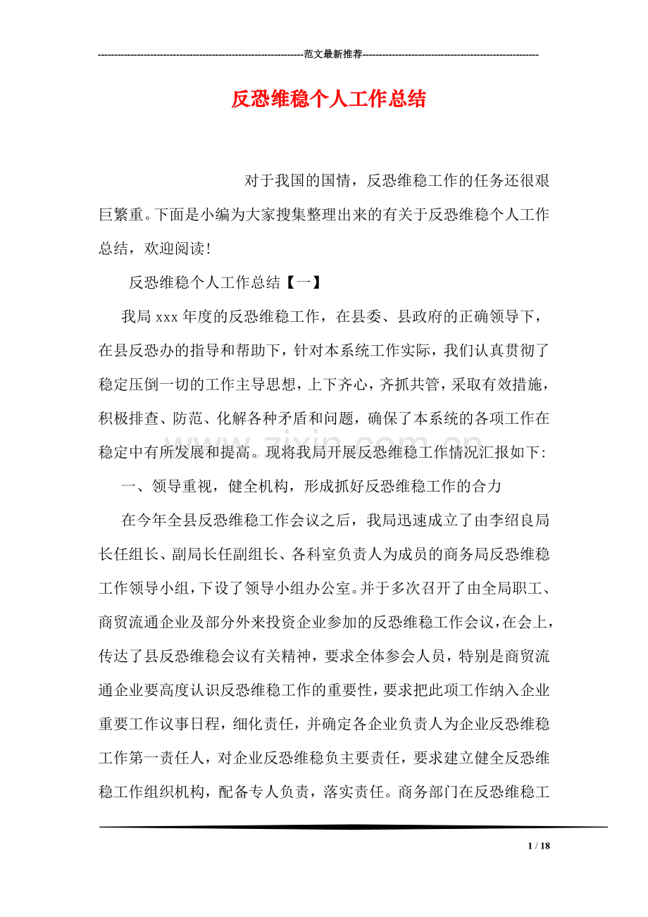 反恐维稳个人工作总结.doc_第1页