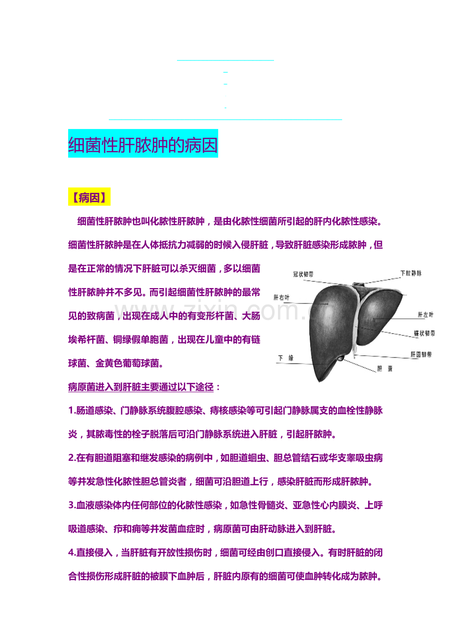 细菌性肝脓肿的病因.doc_第1页