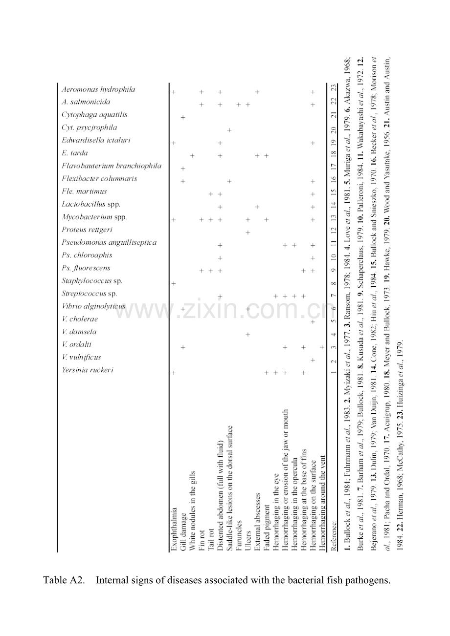 鱼类受细菌感染部位特征.doc_第2页