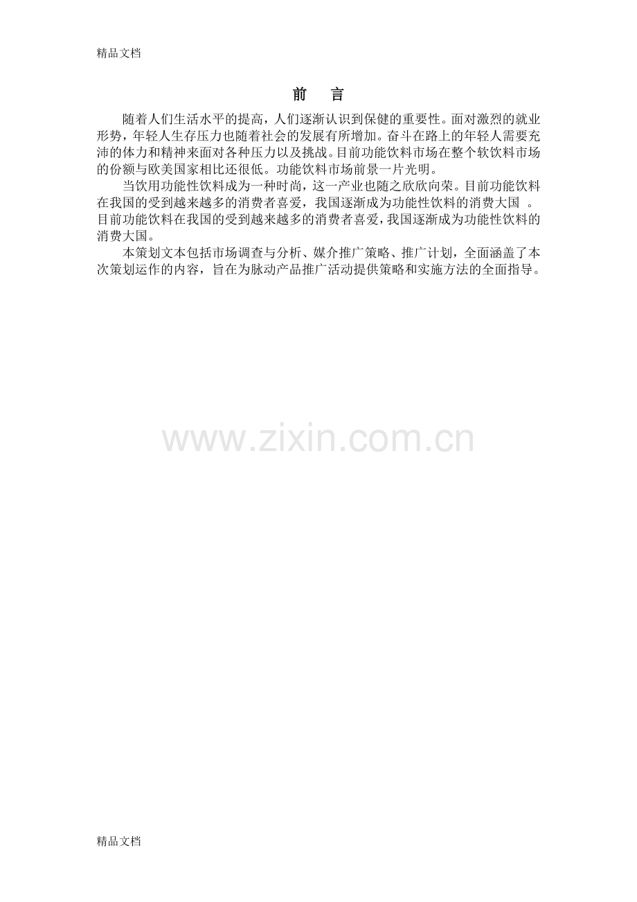 脉动媒体策划书终稿教案资料.doc_第2页