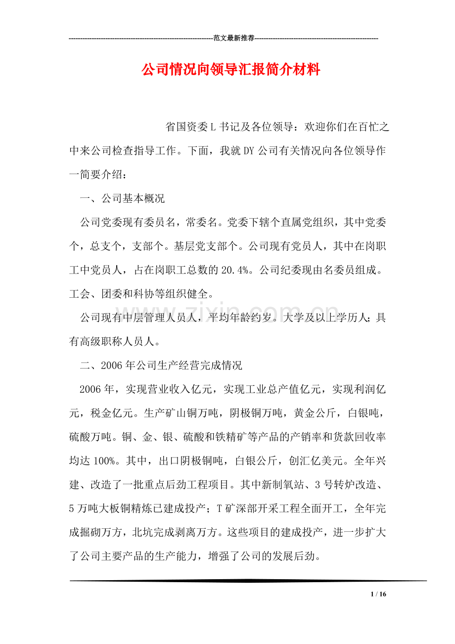 公司情况向领导汇报简介材料.doc_第1页