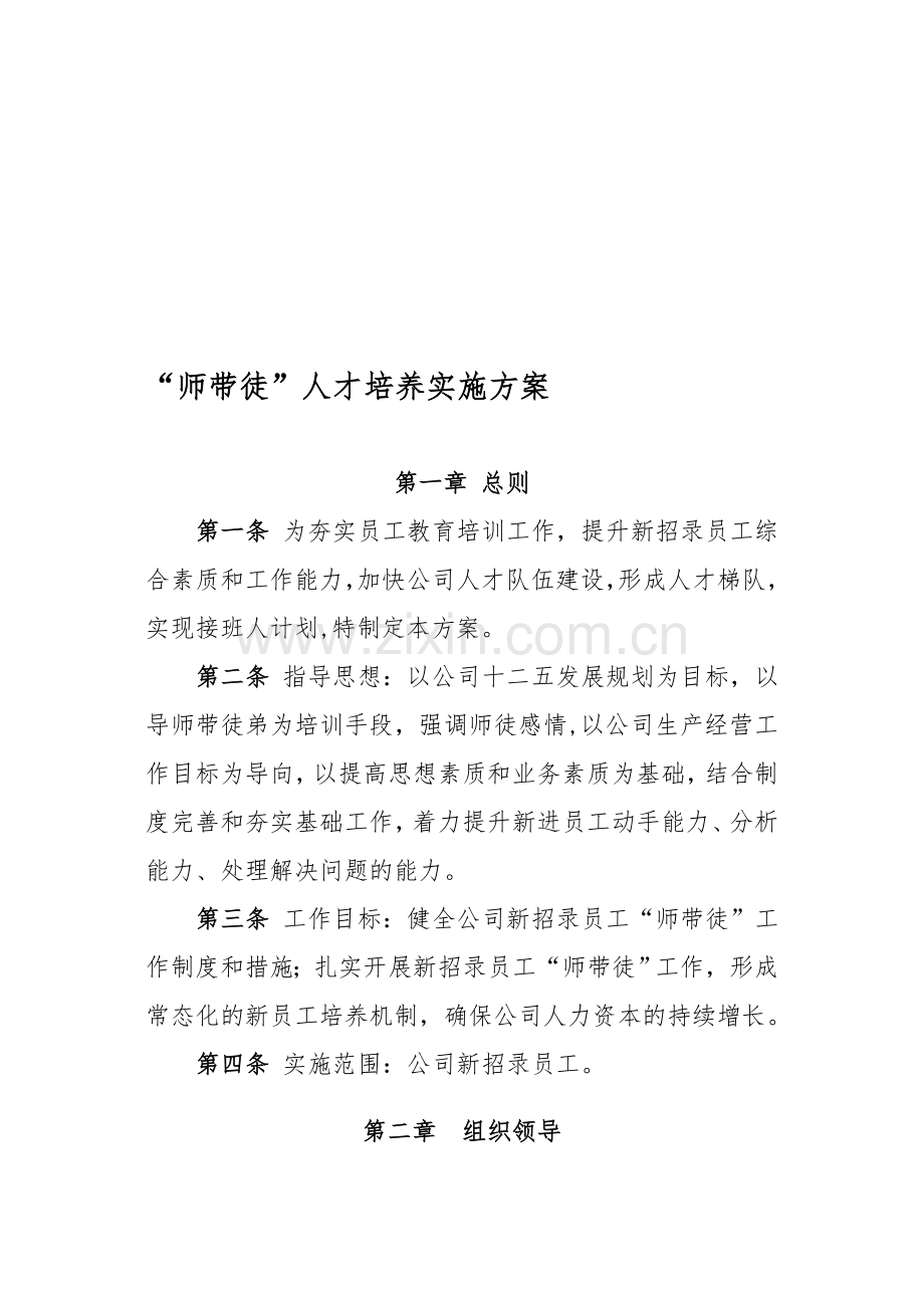 “师带徒”人才培养实施办法资料.doc_第1页