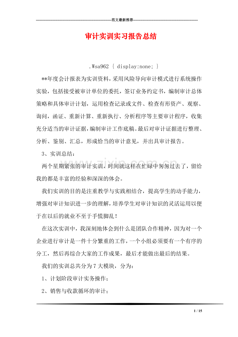 审计实训实习报告总结.doc_第1页