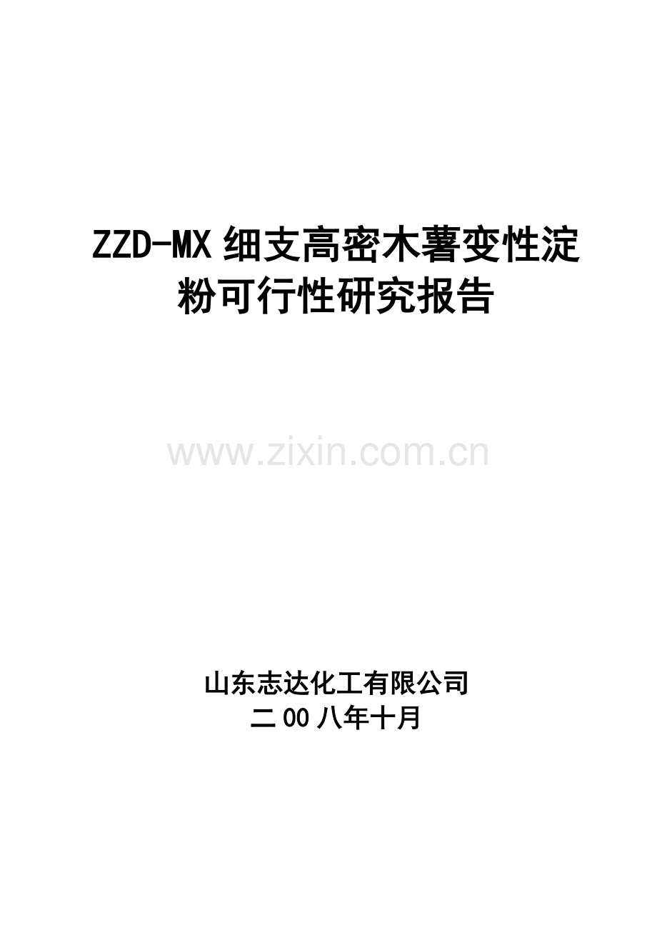 涤棉专用复合浆料可研报告128967100.doc_第1页