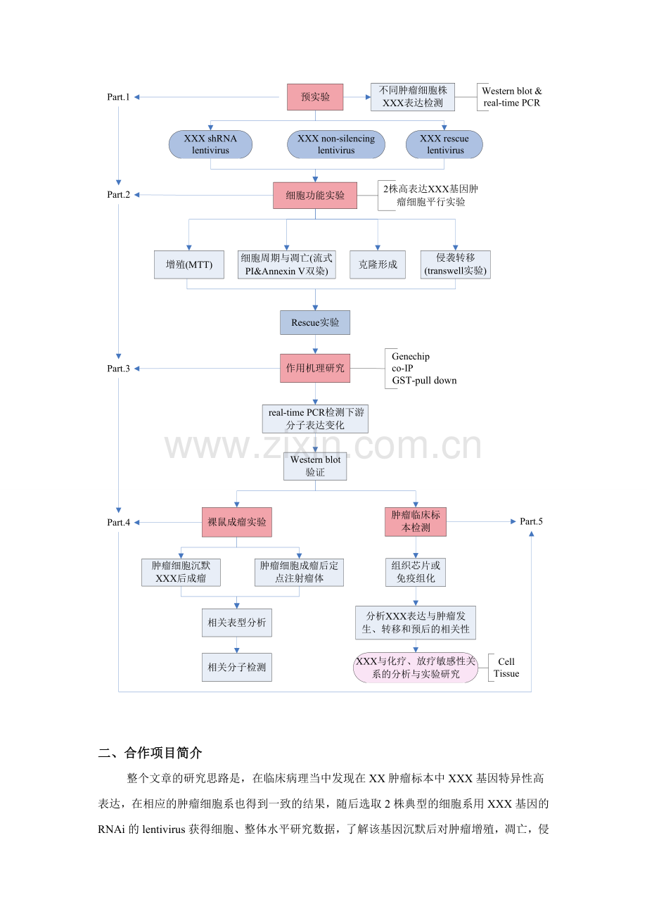 肿瘤科研项目方案设计.doc_第2页