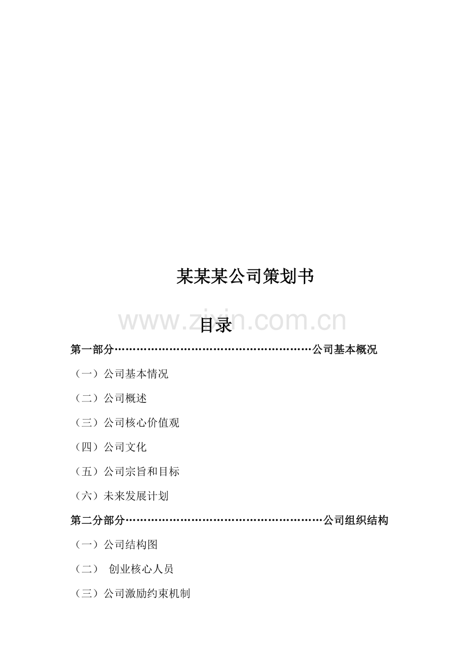 公司、企业策划书模板.doc_第1页