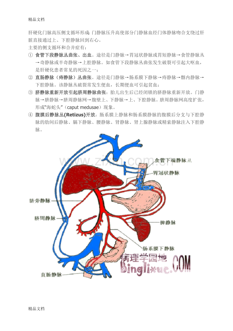 肝硬化门脉高压侧支循环形成复习过程.doc_第1页