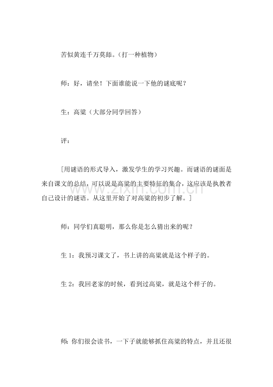 小学语文三年级教学实录——《高粱情》教学实录之一.doc_第2页