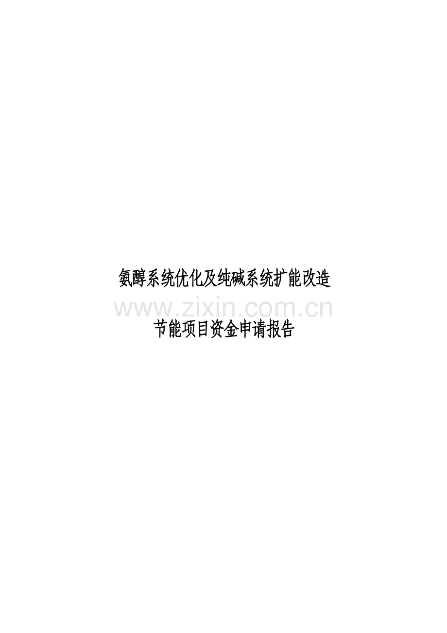 氨醇系统优化及纯碱系统扩能改造项目申请报告.doc_第1页