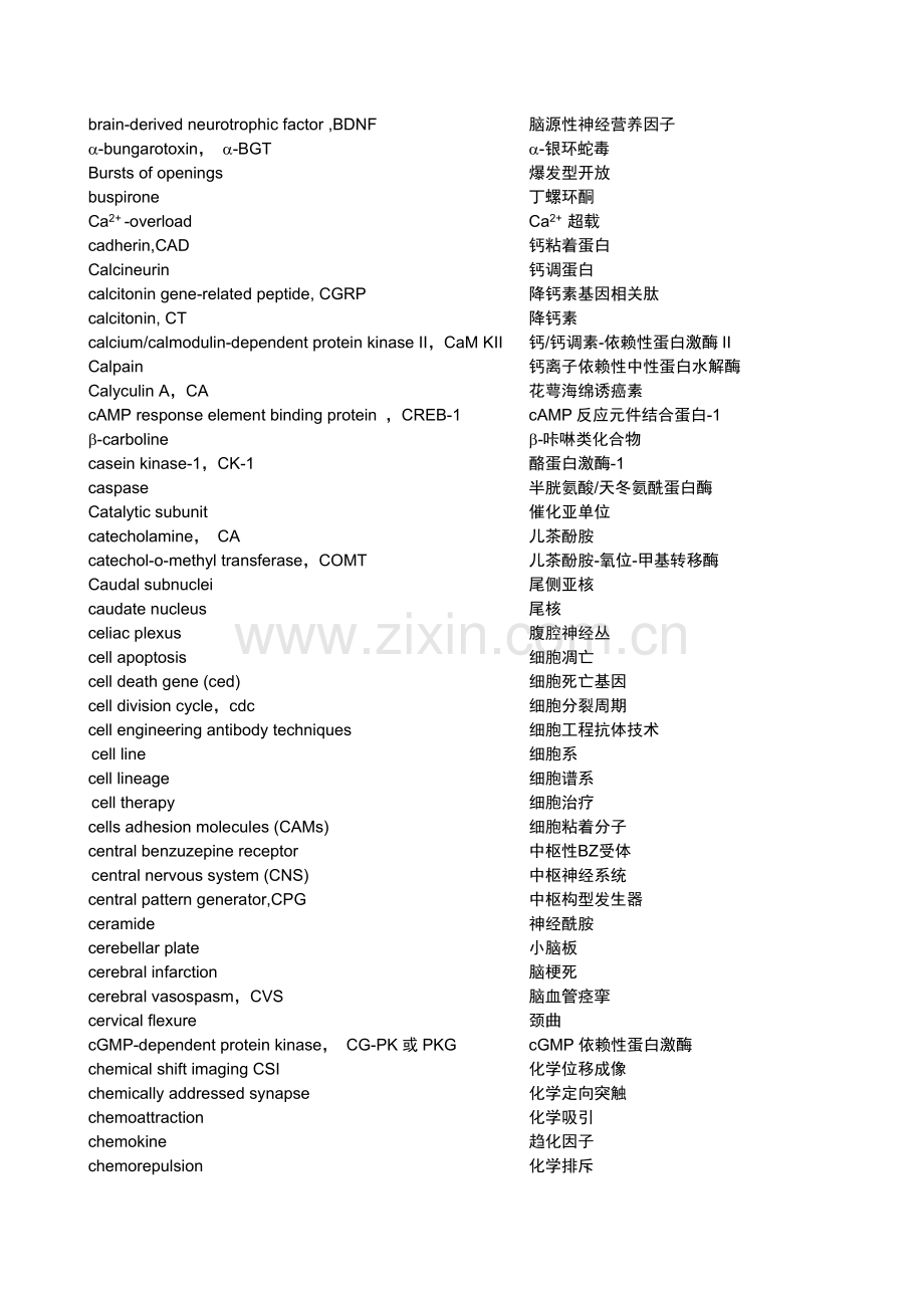 神经科学中英文词汇.doc_第3页