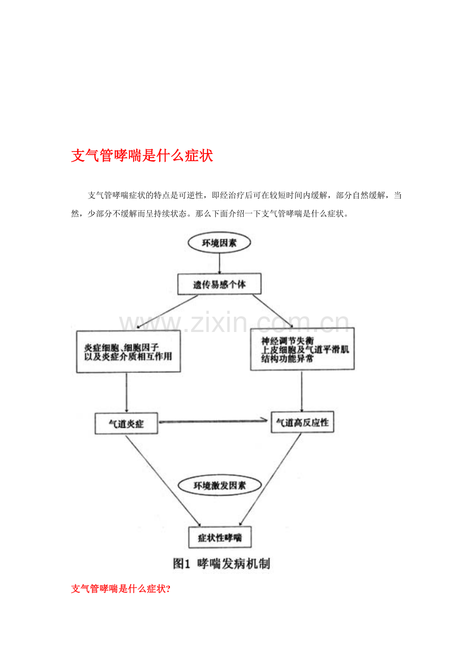 支气管哮喘是什么症状.doc_第1页