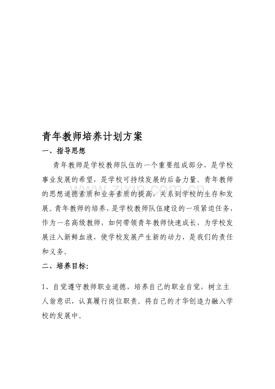 青年教师培养计划及方案资料.doc_第1页