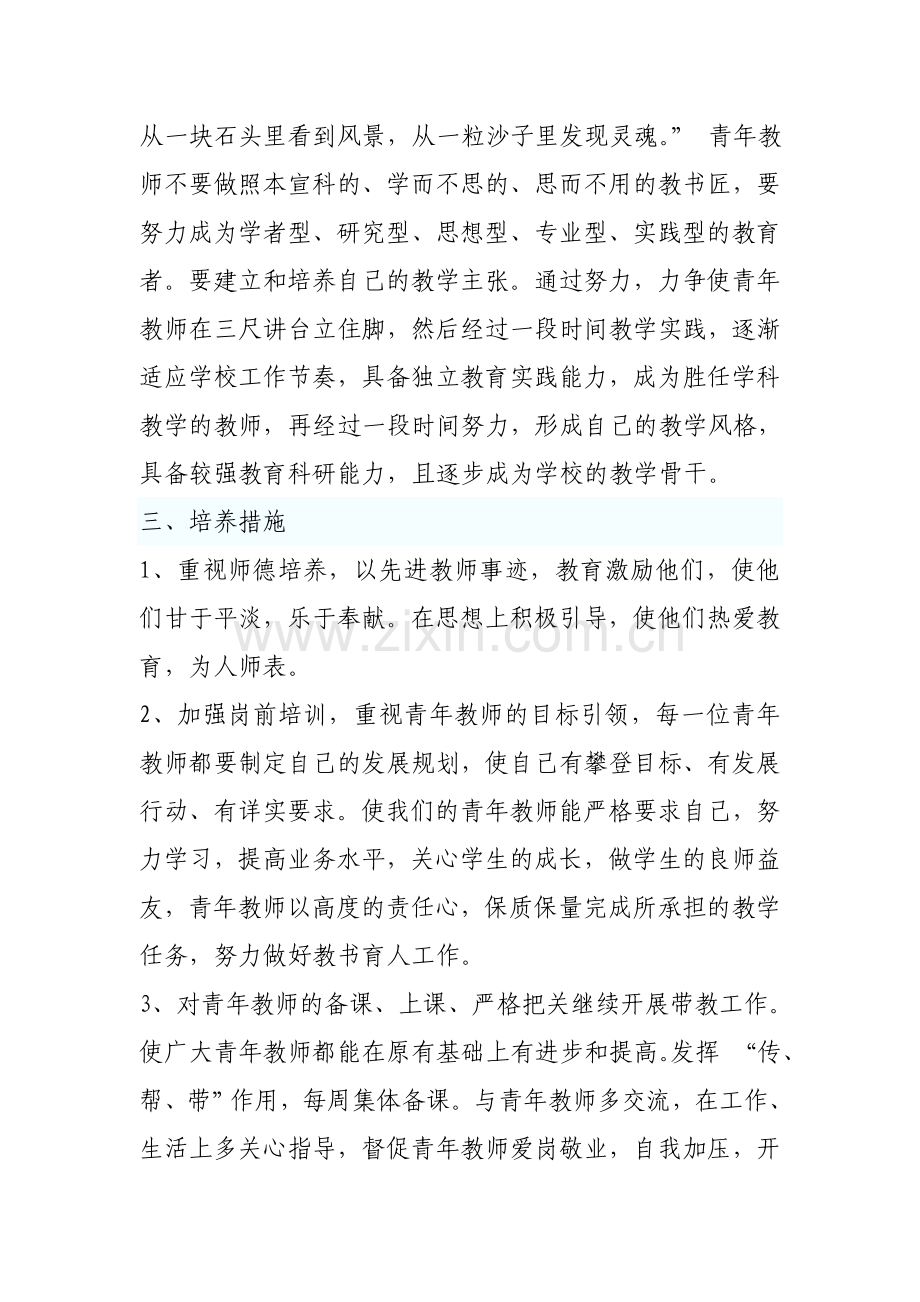 青年教师培养计划及方案资料.doc_第3页