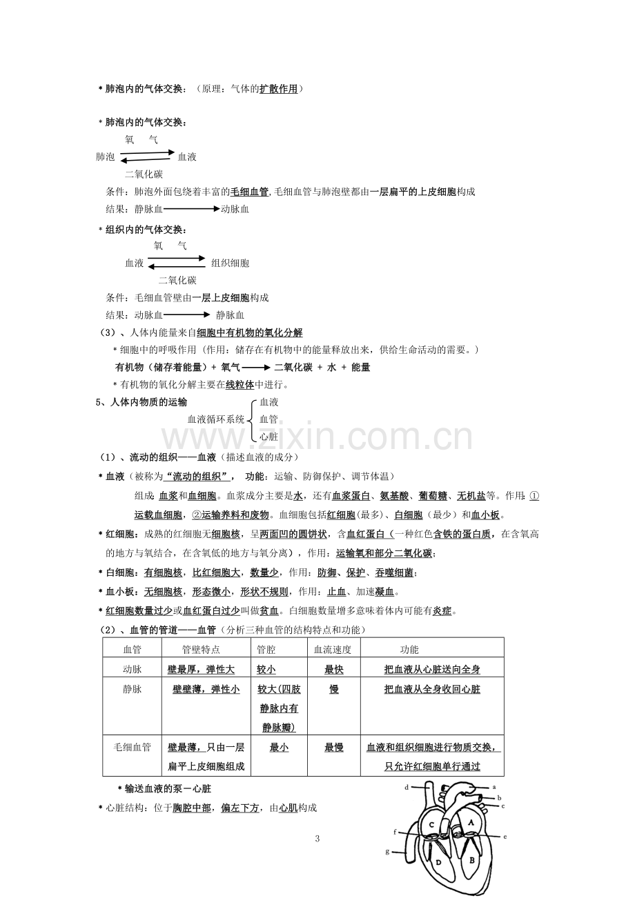 北师大版初中生物中考复习提纲教学内容.doc_第3页