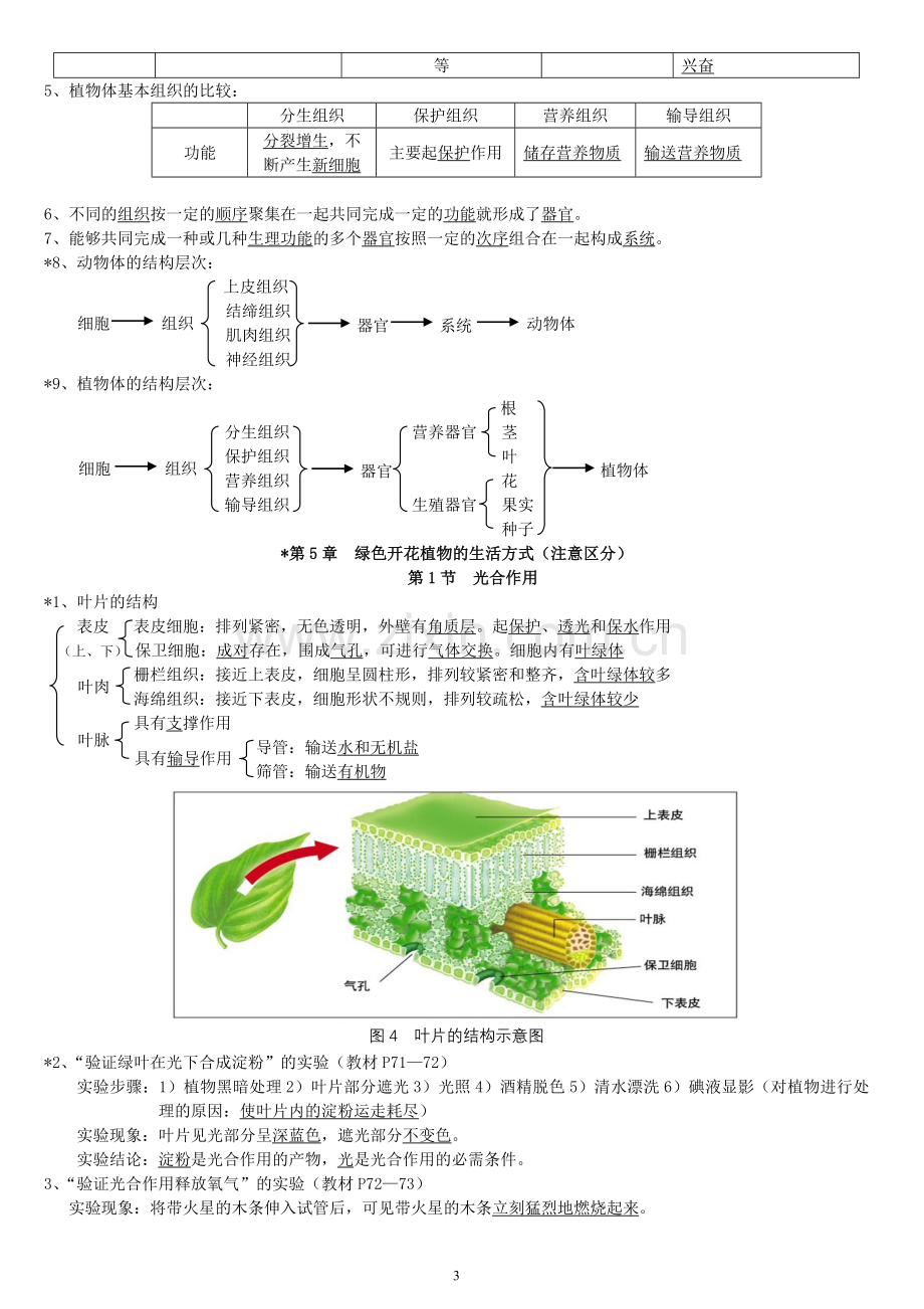 北师大版中考生物复习提纲资料讲解.doc_第3页