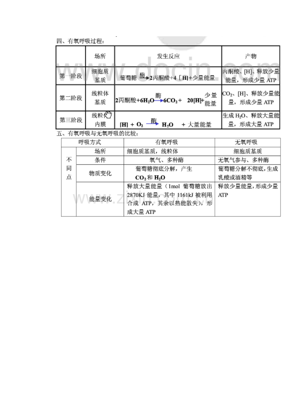 高中生物光合-呼吸作用知识点讲解学习.doc_第3页