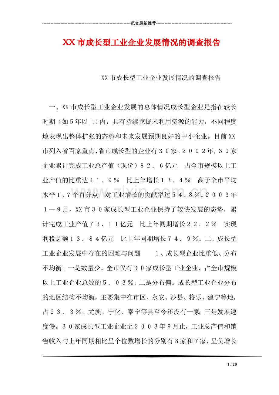 XX市成长型工业企业发展情况的调查报告.doc_第1页