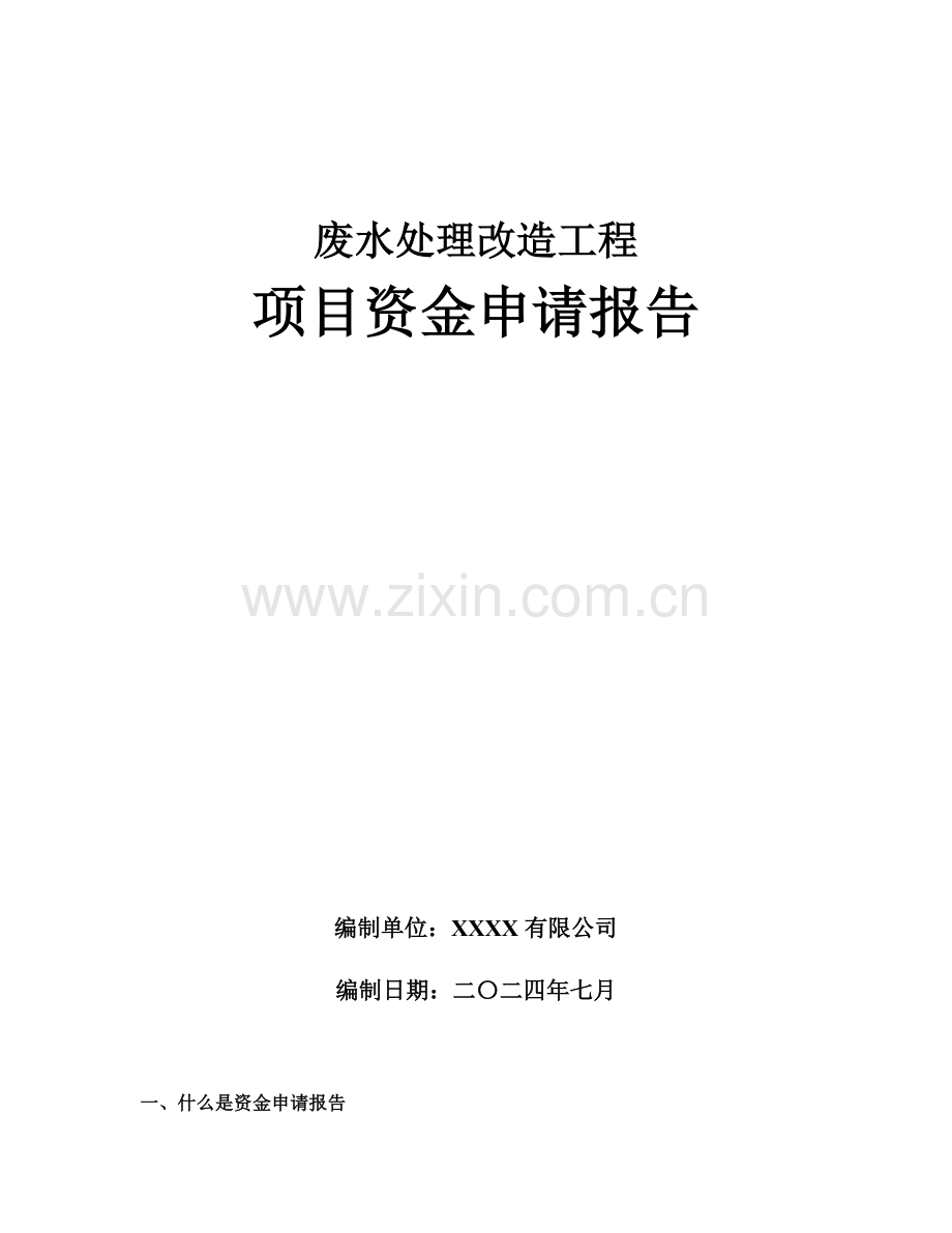 废水处理改造工程项目资金申请报告.doc_第1页