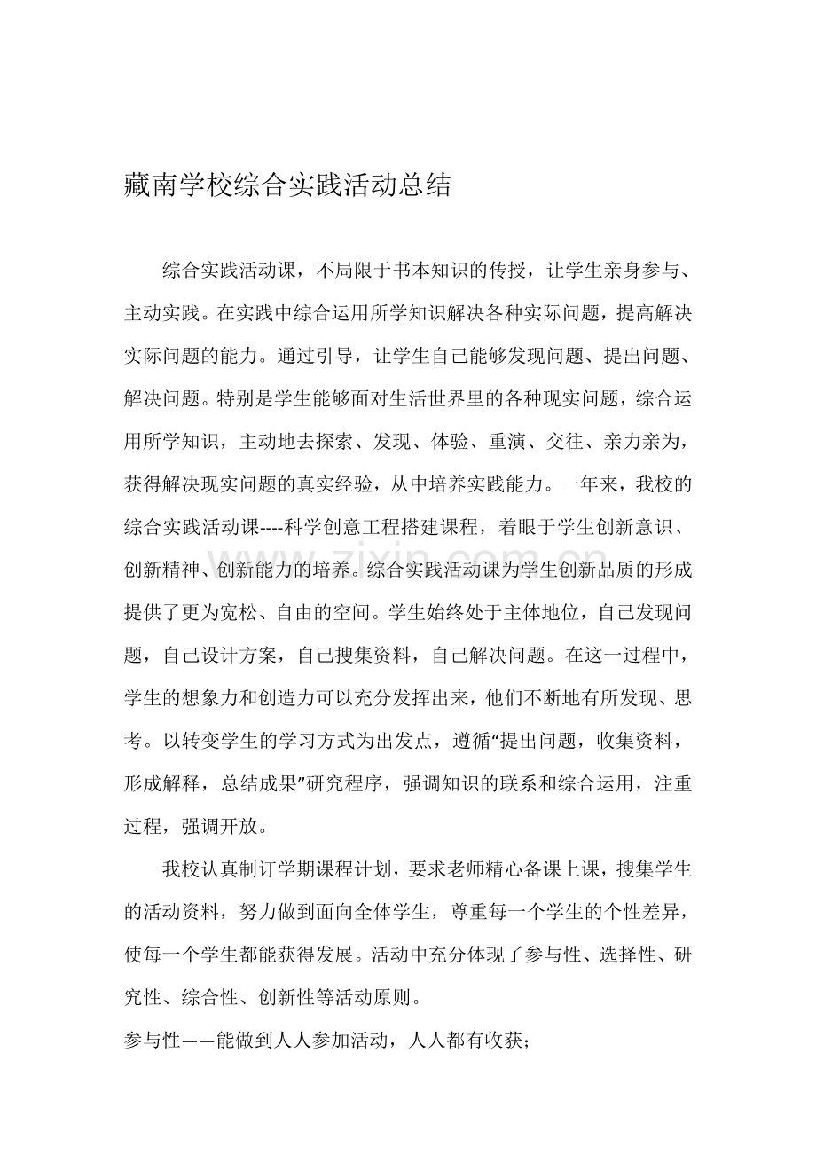 藏南学校综合实践活动总结.doc_第1页