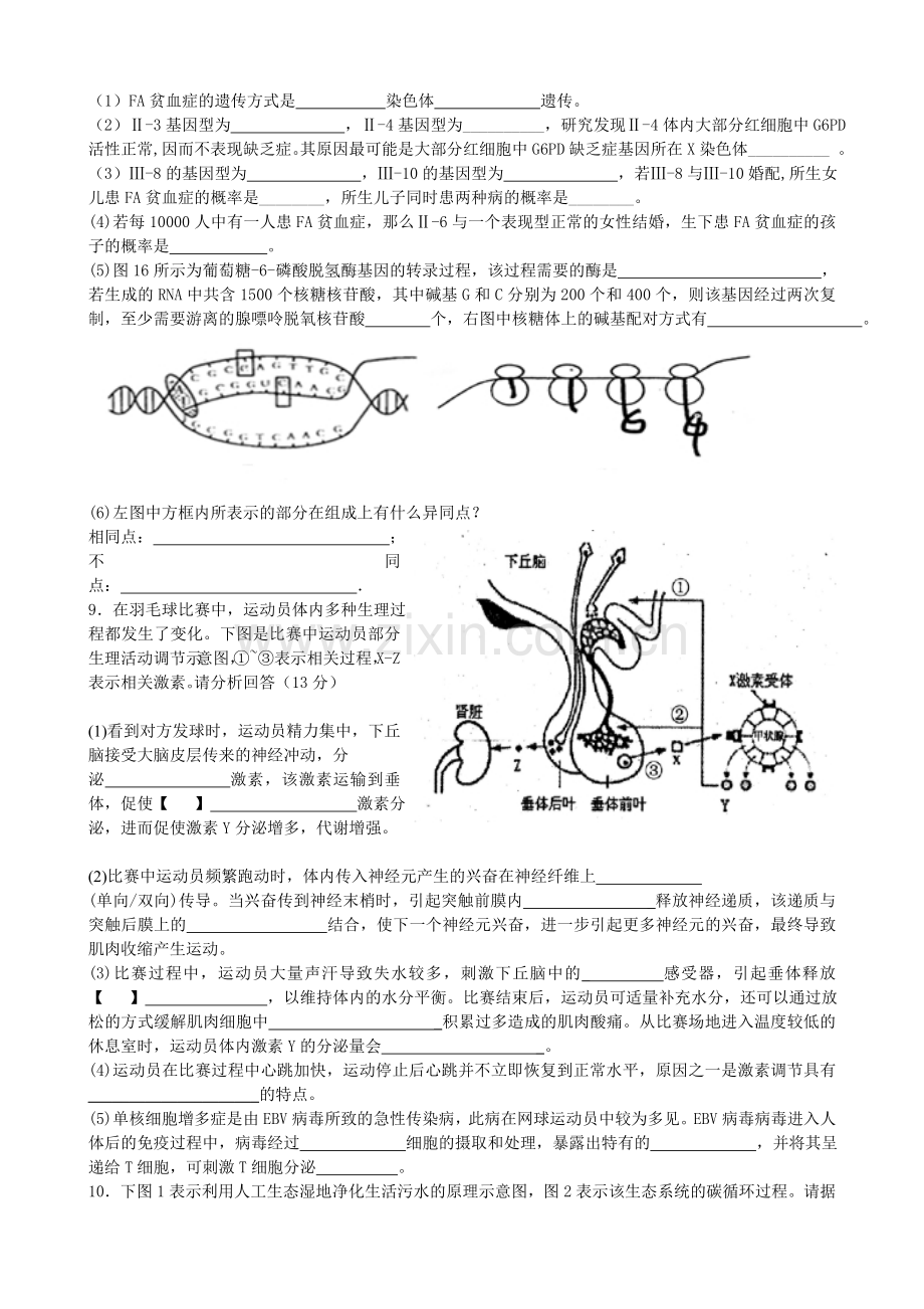 成都高新区高级高三12月理综合测试生物题及答案培训讲学.doc_第3页