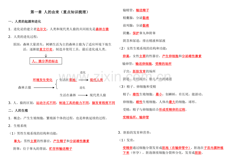 七年级生物下册第一章人的由来知识点汇总讲课稿.doc_第1页