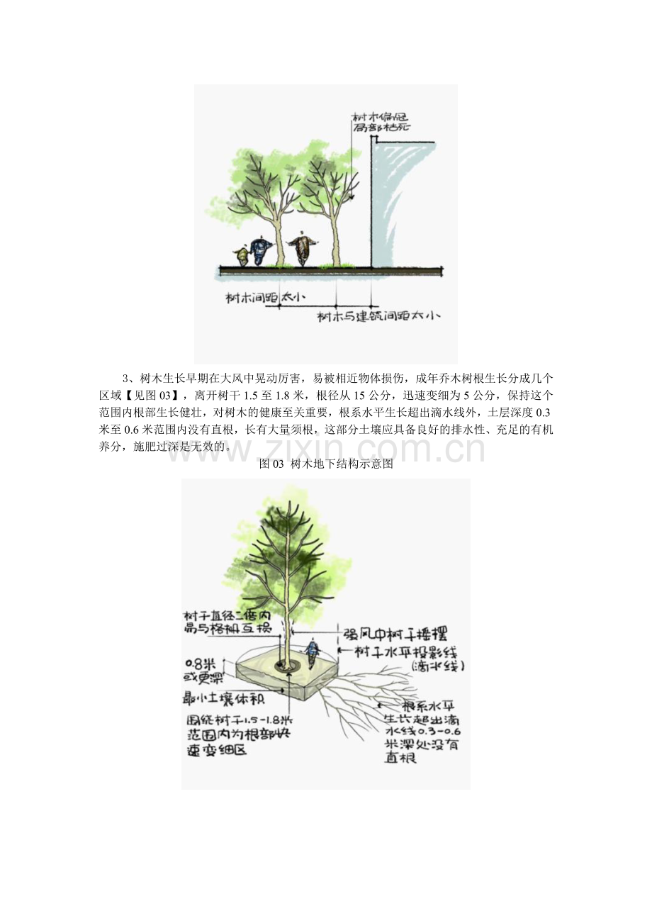 乔木种植技术研究要点.doc_第3页