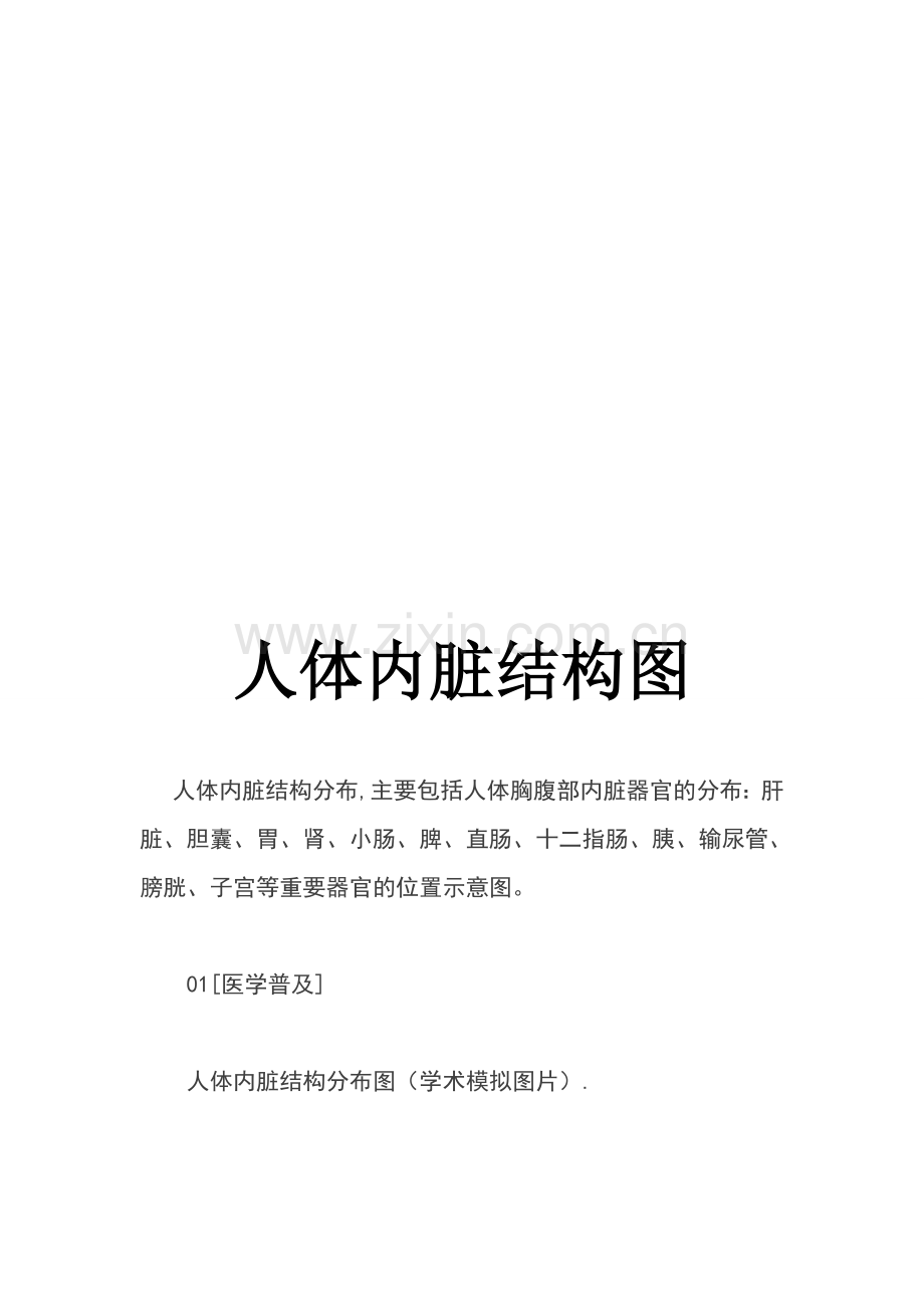 人体内脏结构图.doc_第1页