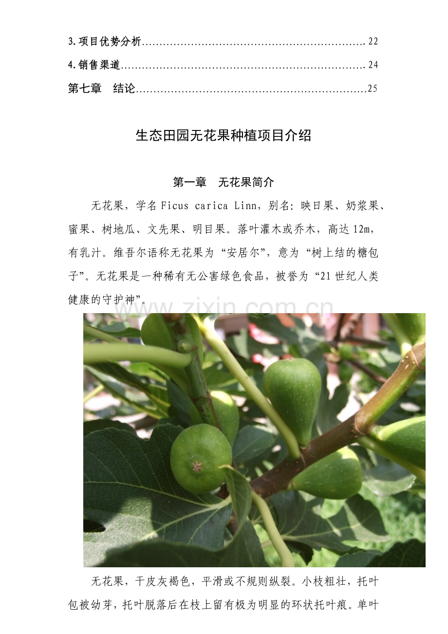 无花果种植可行性报告.doc_第2页