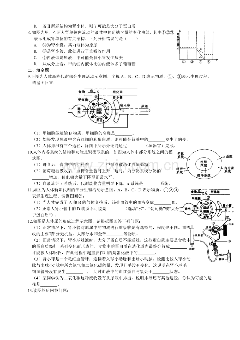 浙教版科学九年级上册-4.5-体内物质的动态平衡--同步练习doc资料.doc_第2页