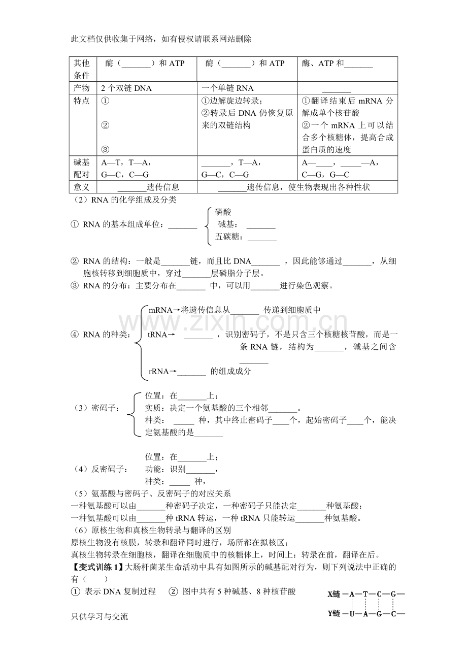 基因的表达一轮复习学案讲解学习.doc_第2页