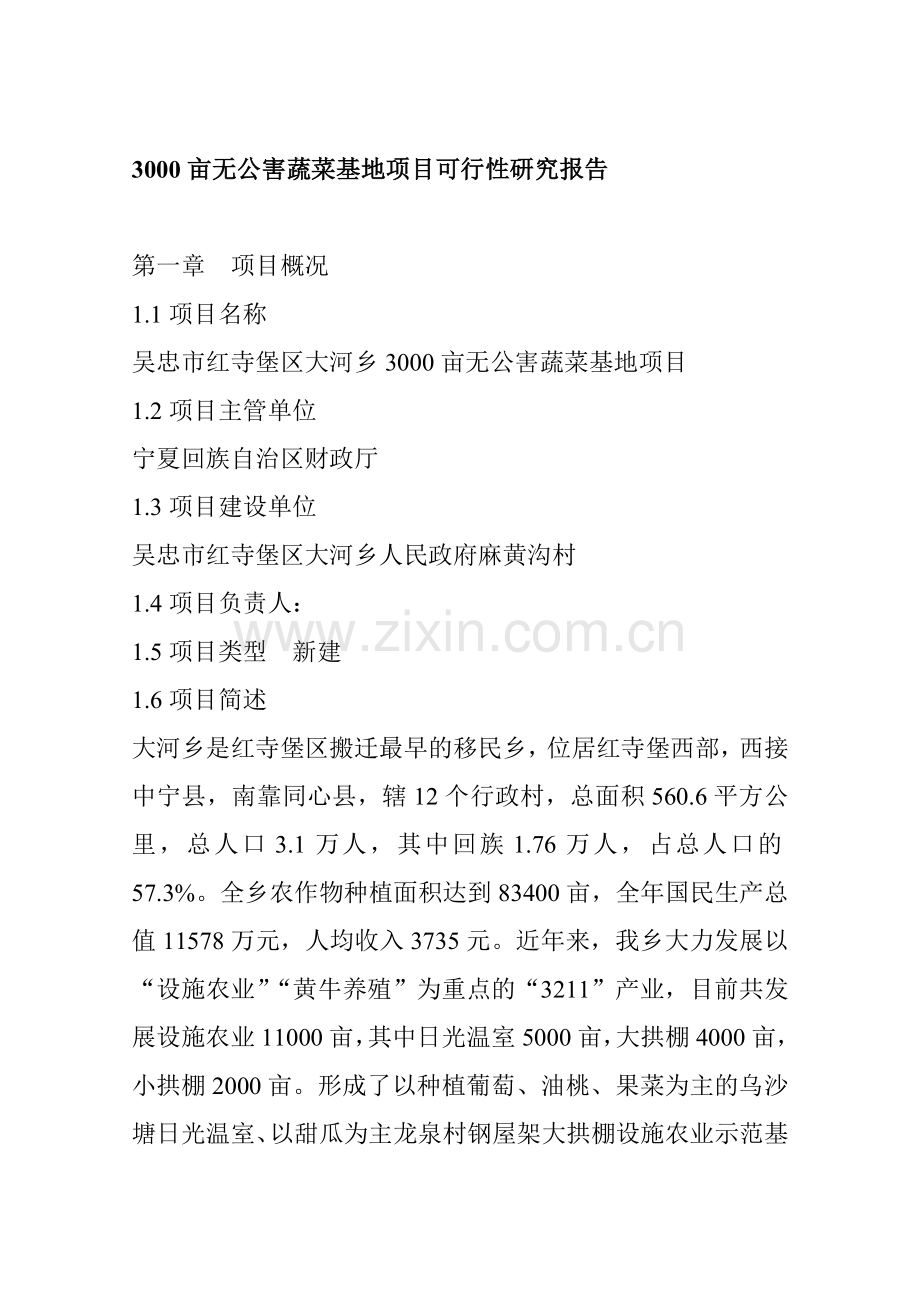 《吴忠市红寺堡区大河乡3000亩无公害蔬菜基地项目可行性研究报告》.doc_第1页