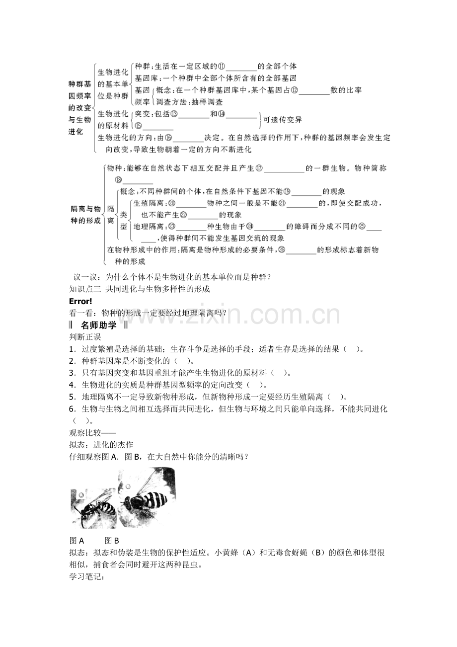 届高考生物一轮复习讲义：234第4讲现代生物进化理论.doc_第2页