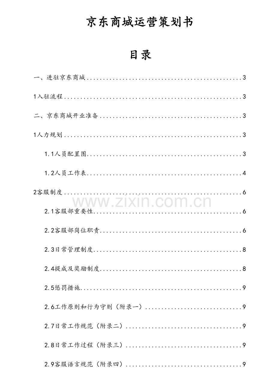 京东商城店铺运营整体策划书教学内容.docx_第2页