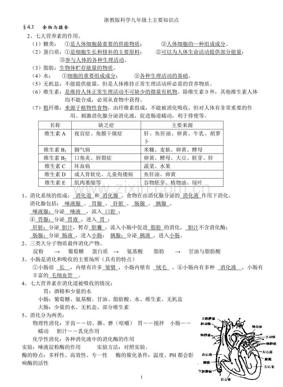 浙教版科学九年级上第四章主要知识点教学文稿.doc_第1页