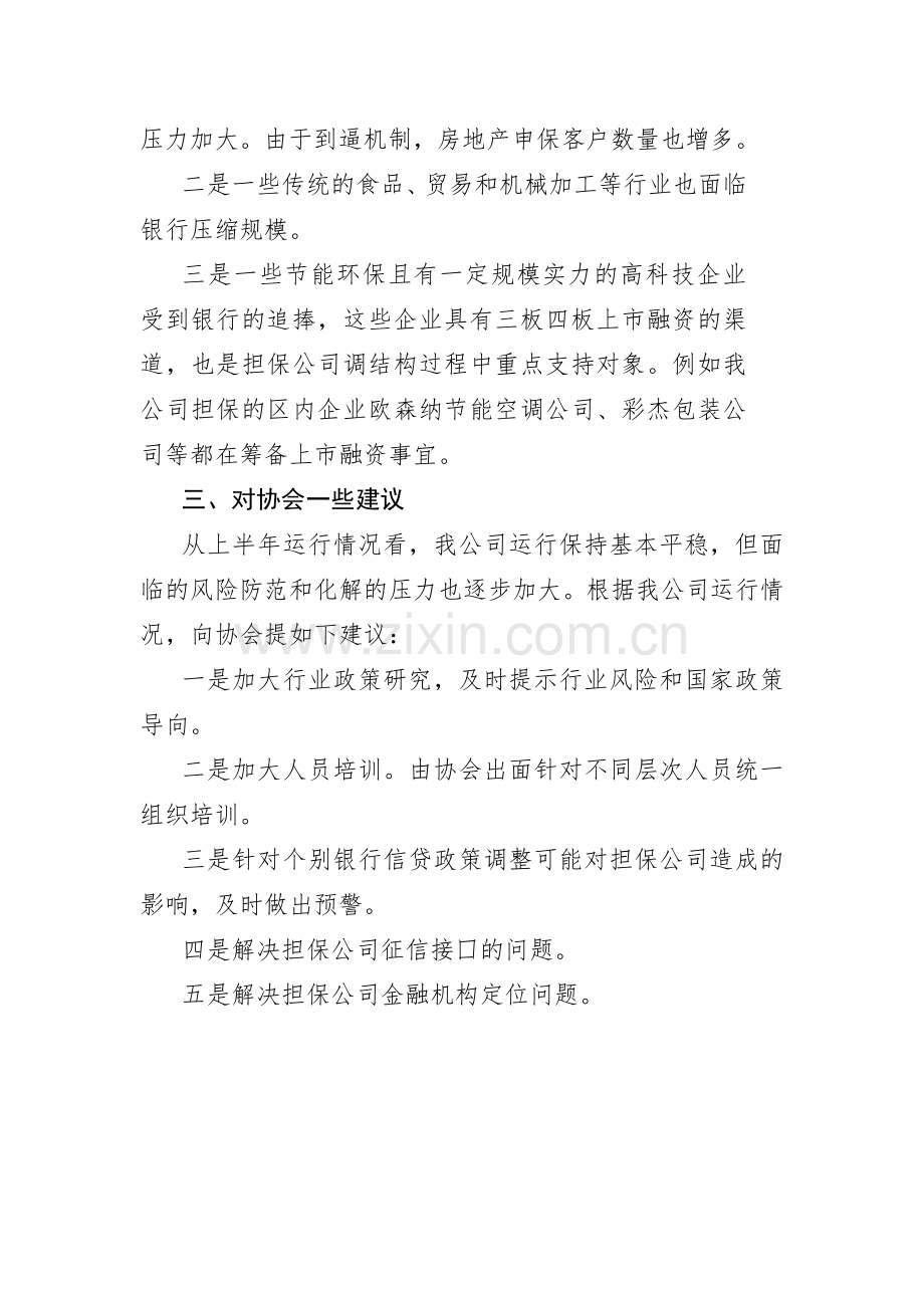 担保行业协会二届二次全体会议交流发言.doc_第3页