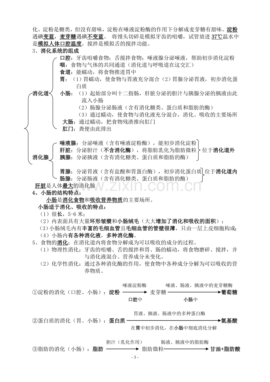 七年级下册生物学知识点汇总27628教学文稿.doc_第3页