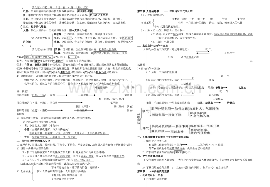 七年级下册生物知识点归纳05709讲课教案.doc_第2页