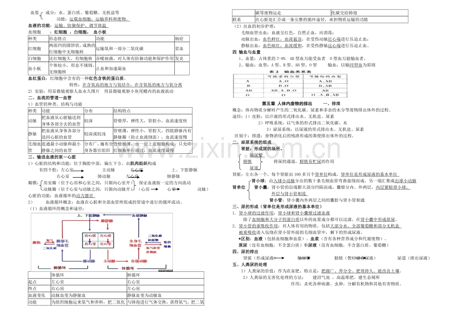 七年级下册生物知识点归纳05709讲课教案.doc_第3页