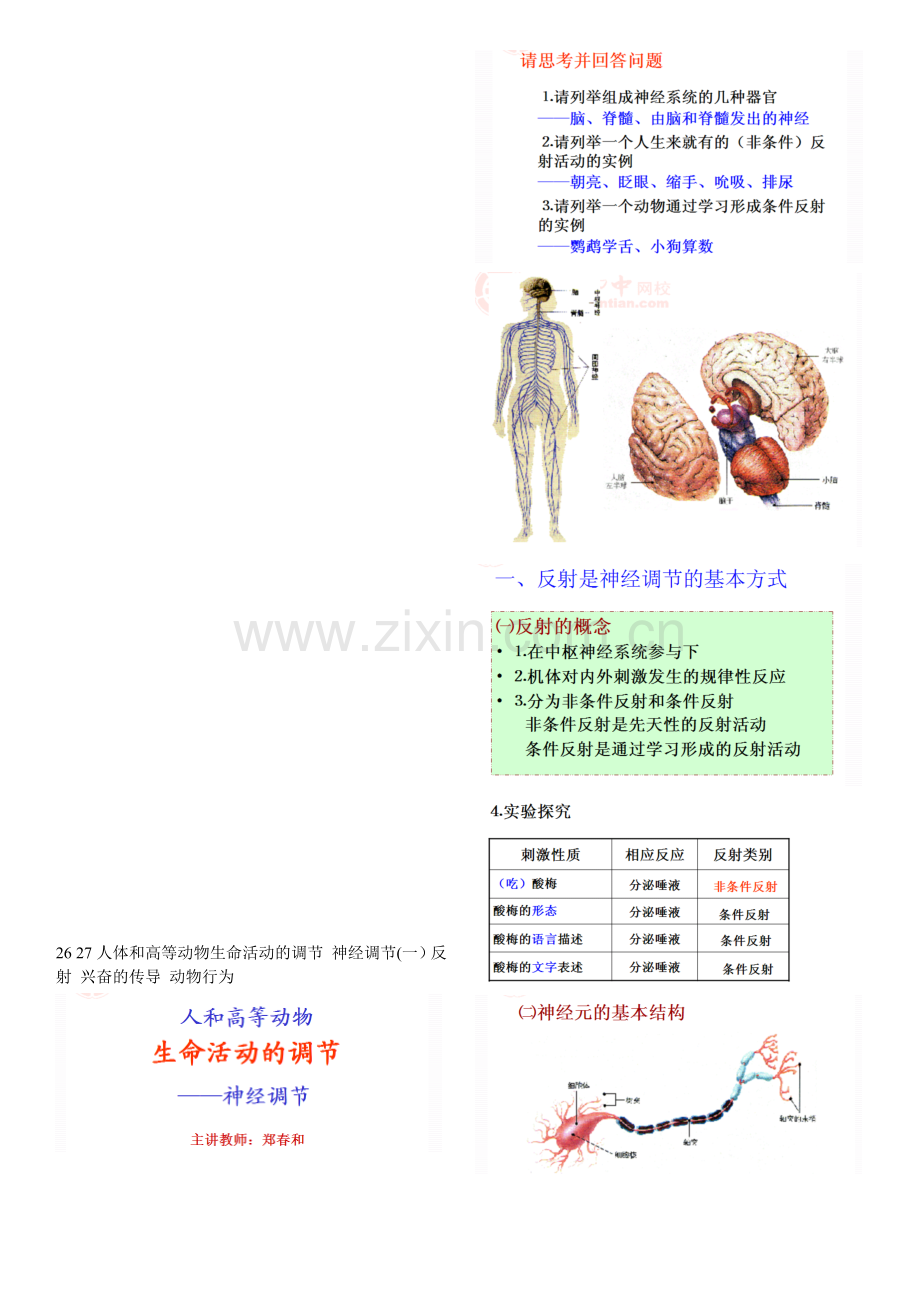 26-27-人体和高等动物生命活动的调节-神经调节(一)反射-兴奋的传导-动物行为资料.doc_第1页