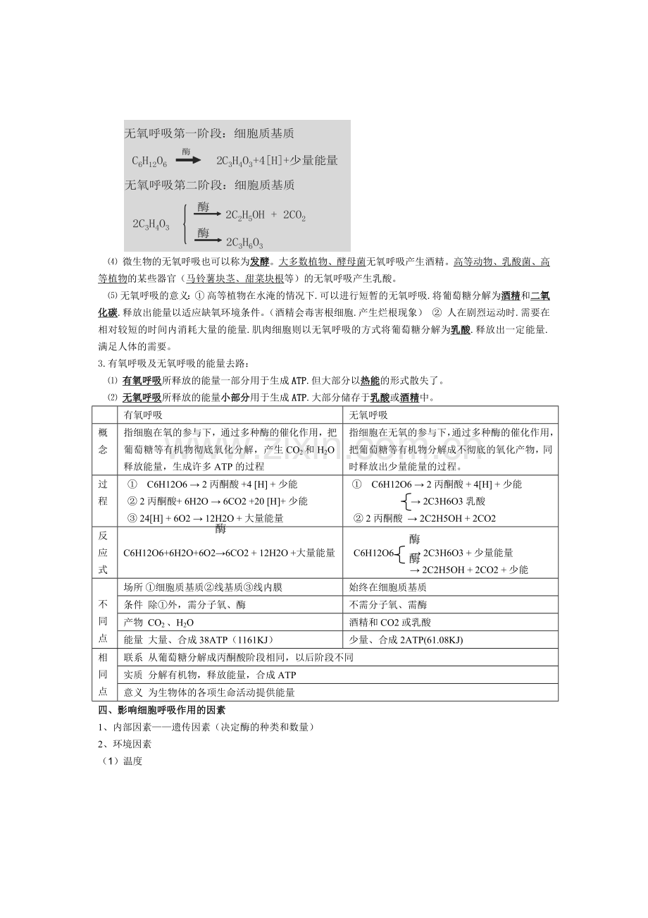 高中生物必修一第五章细胞的能量供应和利用知识点教学文案.doc_第3页