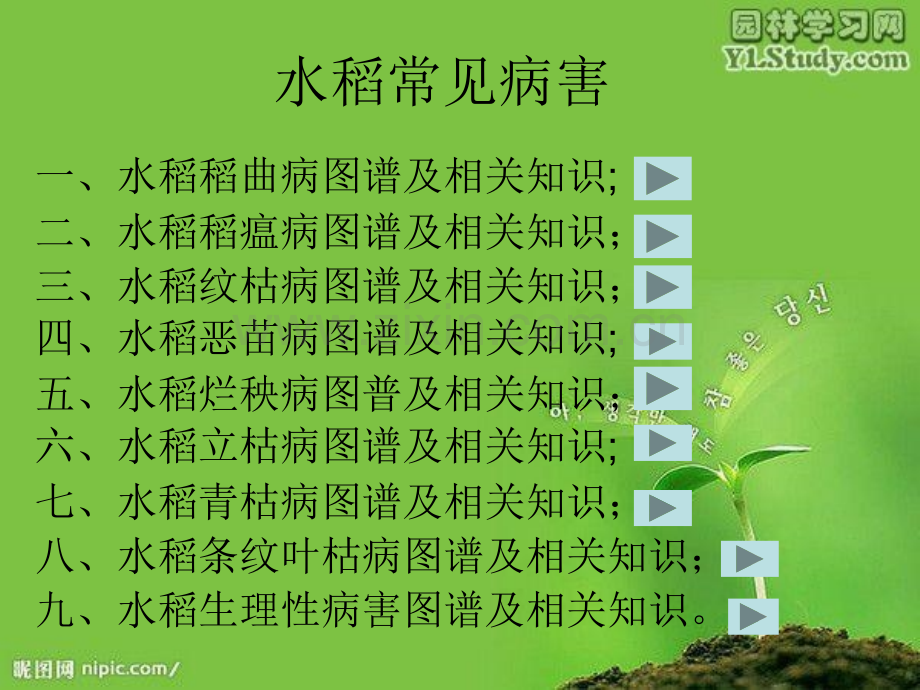 水稻主要病害电子教案.ppt_第1页