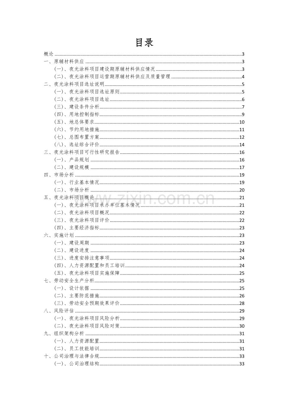 2024年夜光涂料项目可行性研究报告.docx_第2页