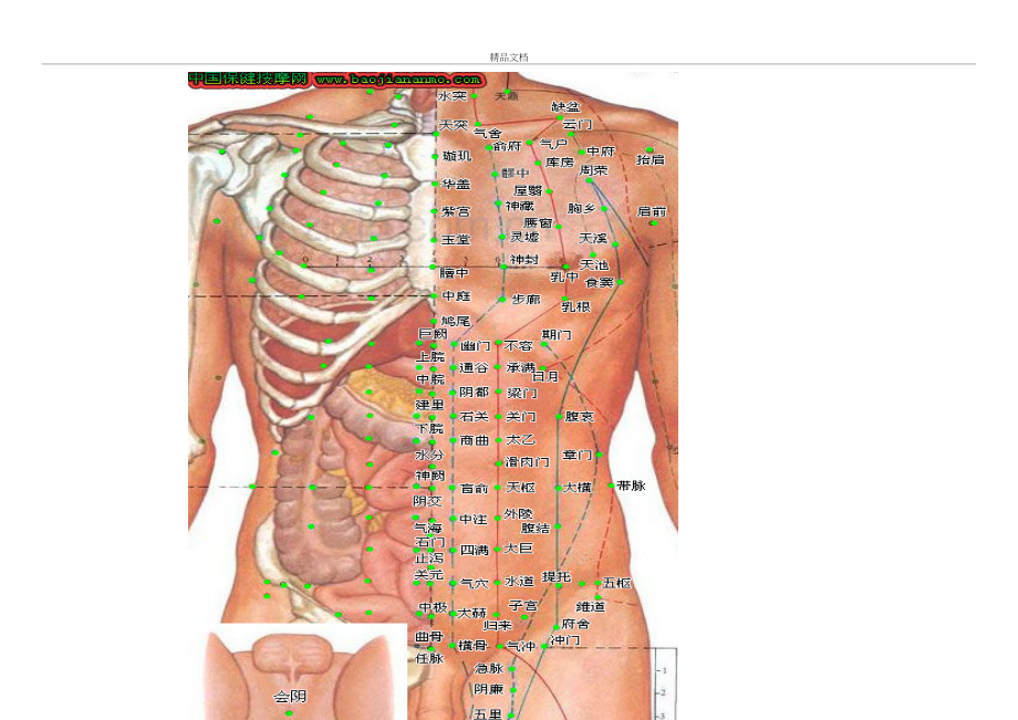 常见疾病与人体具体穴位图实用对照归纳教学内容.doc_第3页