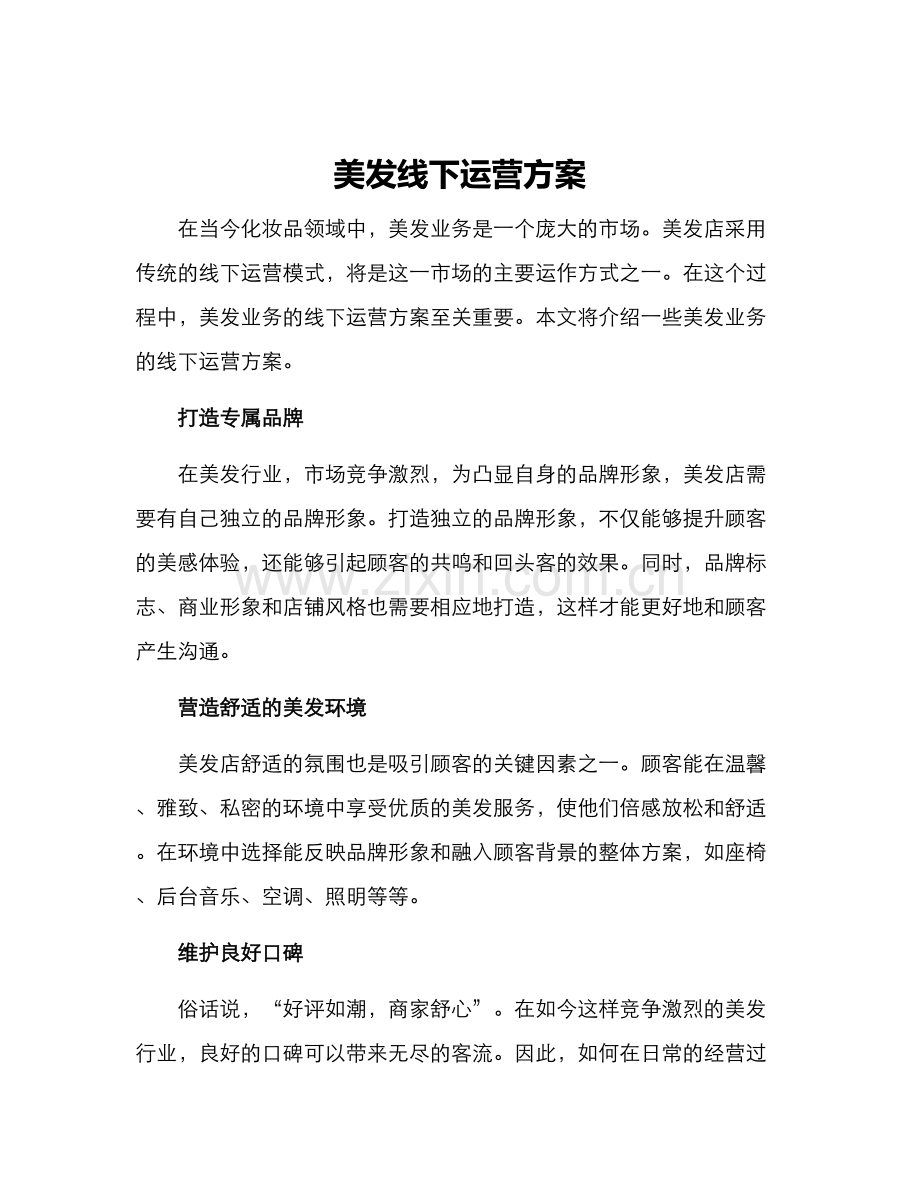 美发线下运营方案.docx_第1页