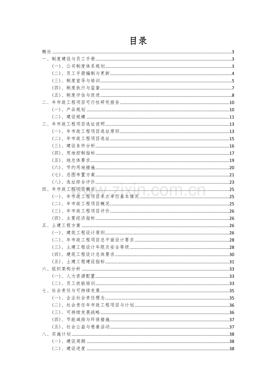 2024年年市政工程项目深度研究分析报告.docx_第2页