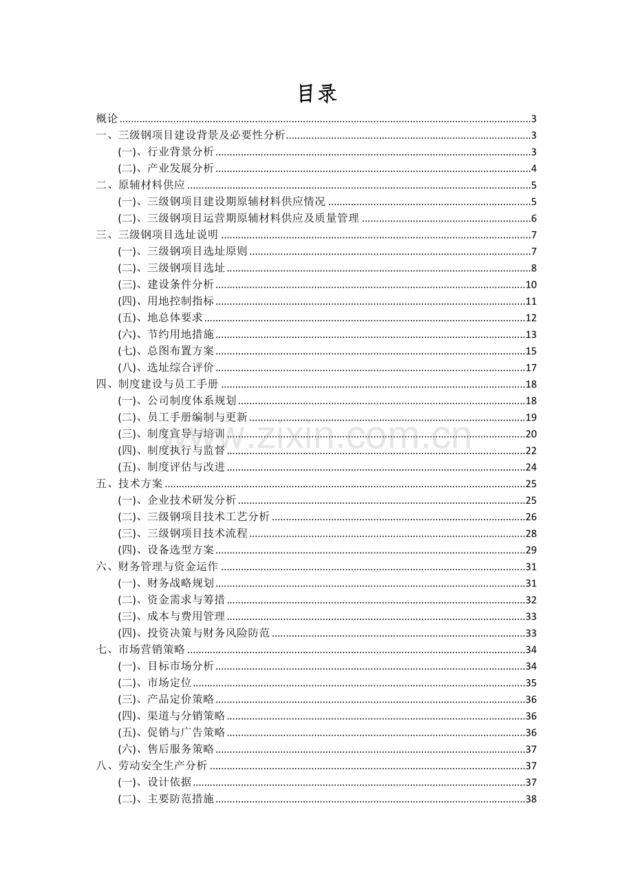 2024年三级钢项目投资分析及可行性报告.docx_第2页