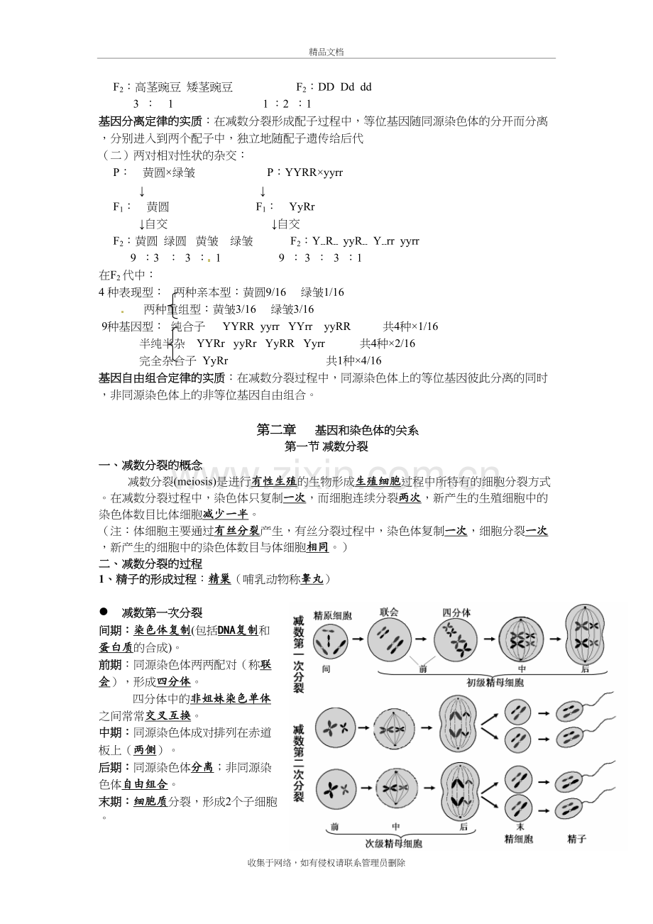 高中生物必修二知识点总结(最全版)讲课讲稿.doc_第3页