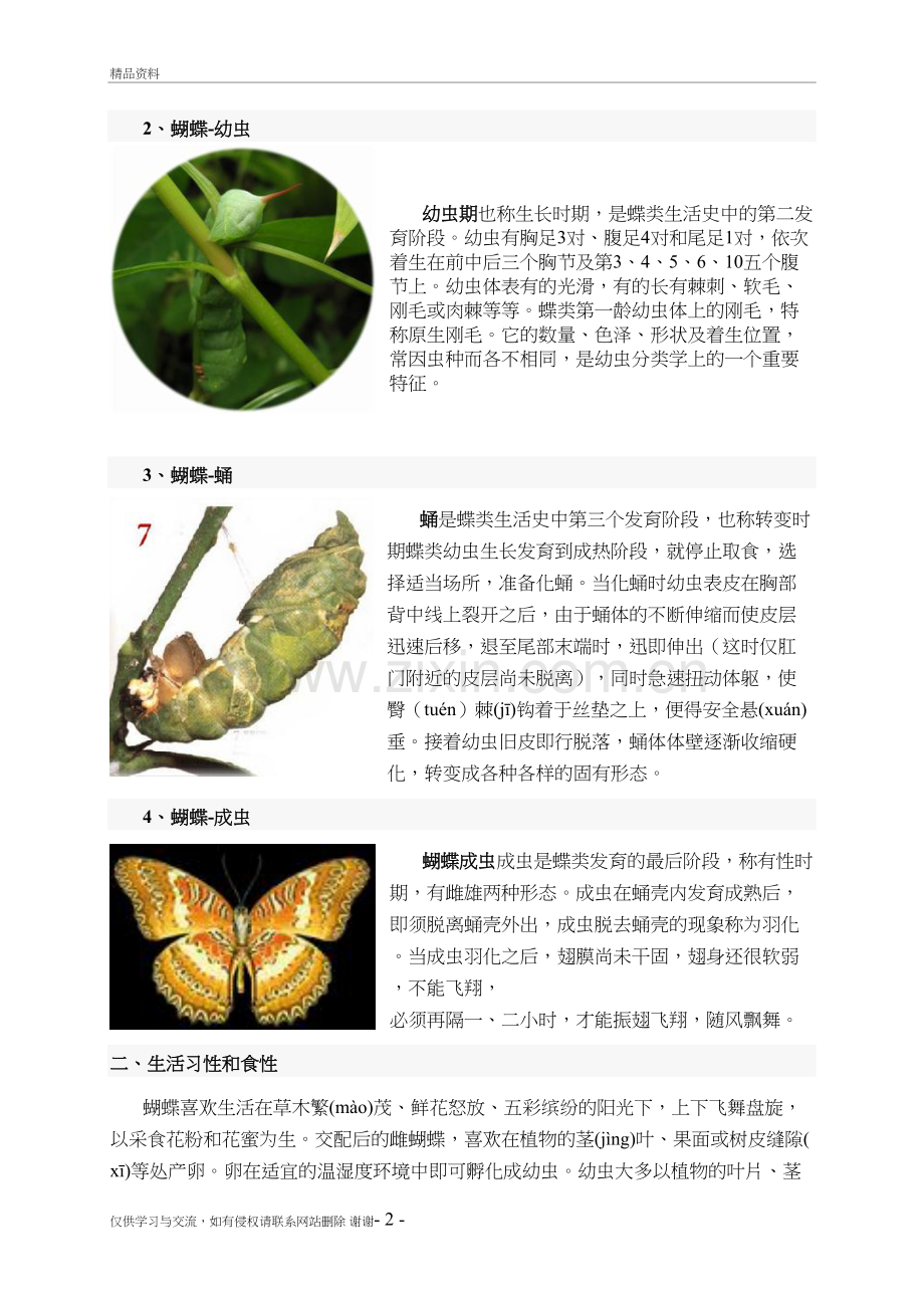 蝴蝶的知识教学提纲.doc_第3页