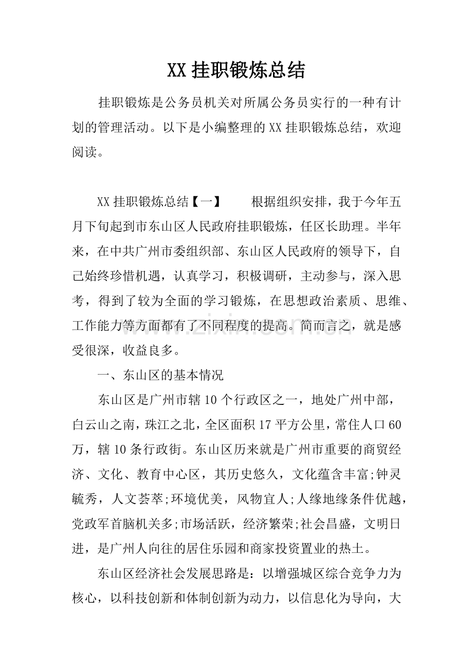 XX挂职锻炼总结知识分享.docx_第1页